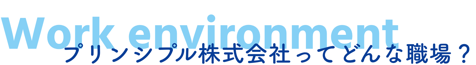 プリンシプル株式会社ってどんな職場？